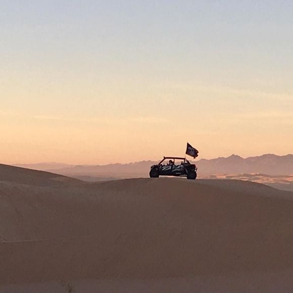 Meet your Posher, Vince - Picture 1 of 1